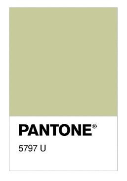 Pantone 5797.png